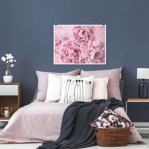 tableaux floraux Pivoines roses