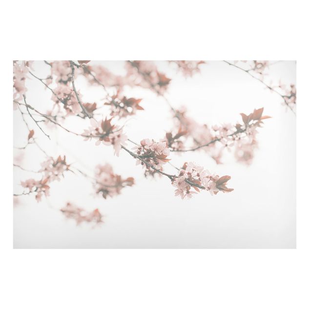Tableaux magnétiques avec fleurs Memories of Spring