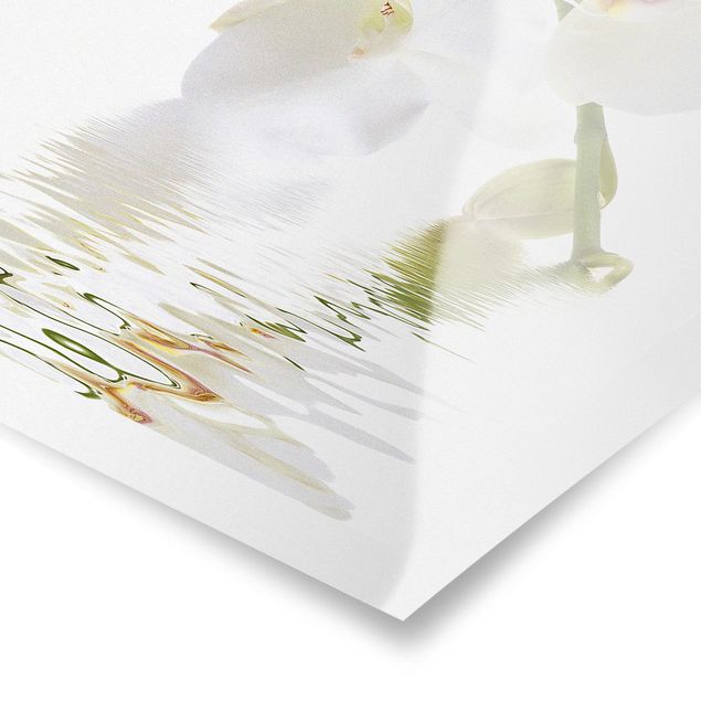 Tableau décoration Eaux de l'Orchidée Blanche