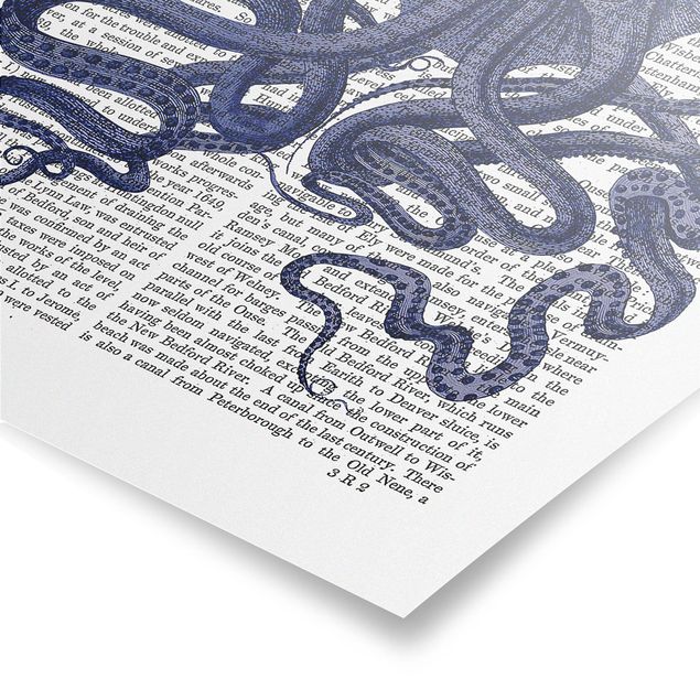 Tableau bleu Lecture des animaux - Octopus