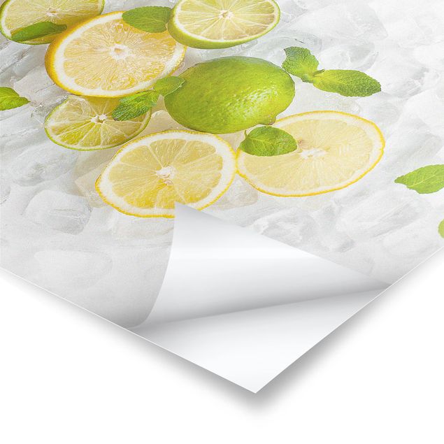 Poster - Citrus Fruit On Ice Cubes