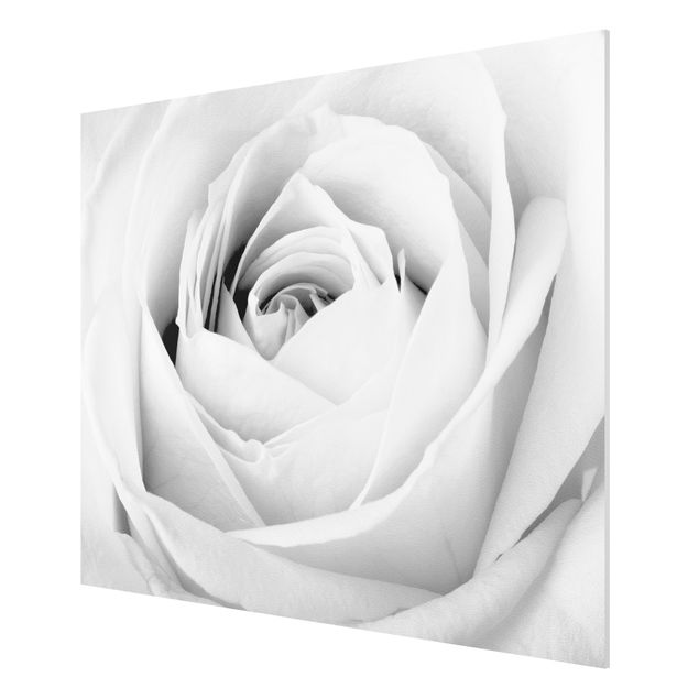 tableaux floraux Close Up Rose