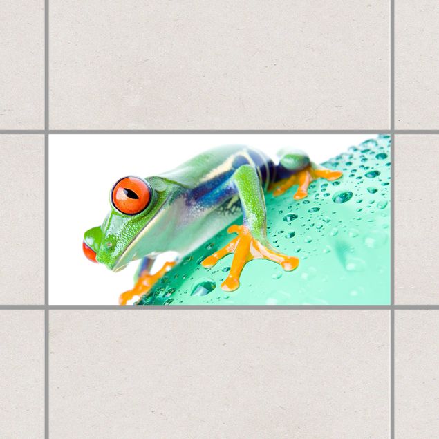 Déco murale cuisine Frog