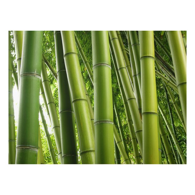 Tableau paysage Bambous No.1