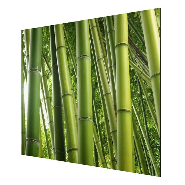 Tableau arbres Bambous No.1