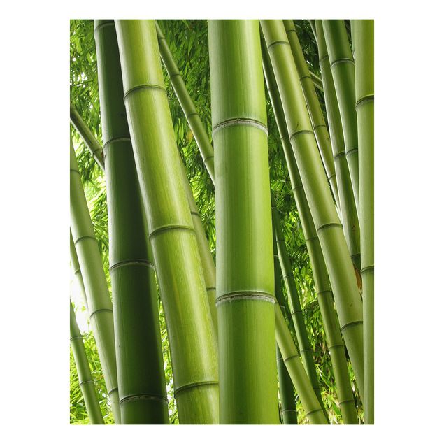 Tableau paysages Bambous No.1