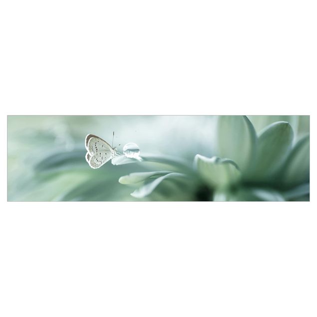 Revêtement mural cuisine - Butterfly And Dew Drops In Pastel Green