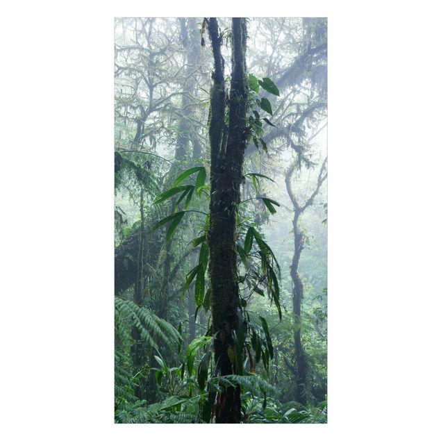 Revêtement mural de douche - Monteverde Cloud Forest