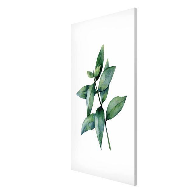 Tableau moderne Eucalyptus Aquarelle lll