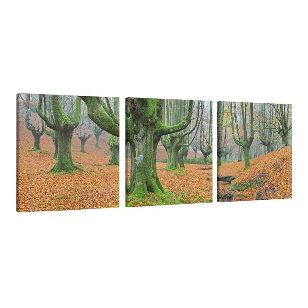 Tableau moderne Forêt de hêtres dans le parc naturel de Gorbea en Espagne
