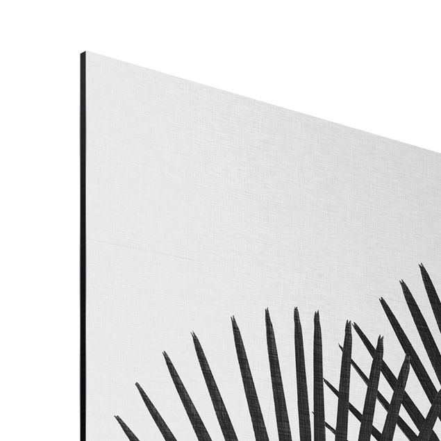 Tableaux noir et blanc Feuilles de palmier en noir et blanc
