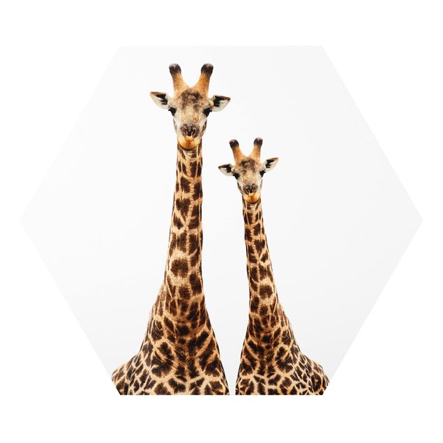 Tableaux forex Portait de deux girafes