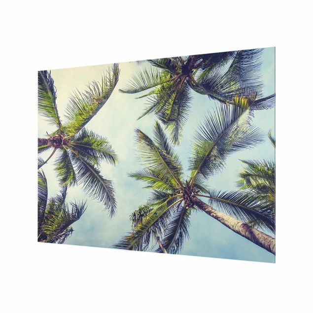 Fonds de hotte - The Palm Trees - Format paysage 4:3