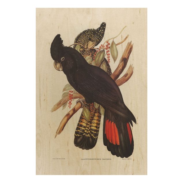 Tableaux en bois avec fleurs Illustration vintage Cacatoès Noir Noir et Or