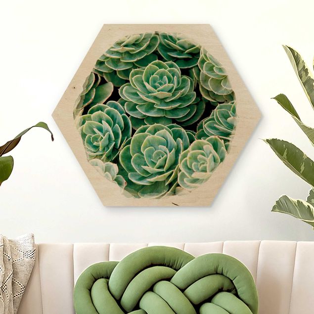 Décorations cuisine Aquarelles - Succulentes vertes