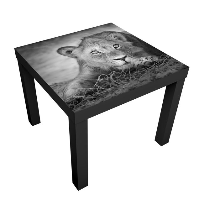 Revêtement adhésif pour meuble Bébé lion tapi dans l'ombre