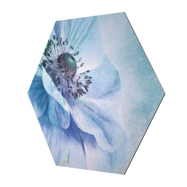 Tableaux muraux Fleur en turquoise