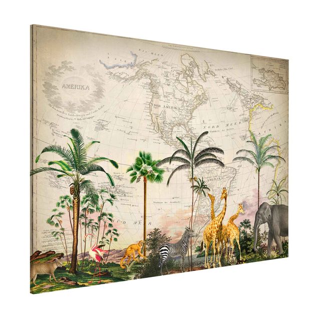 Décorations cuisine Collage Vintage - Faune et flore sur carte du monde