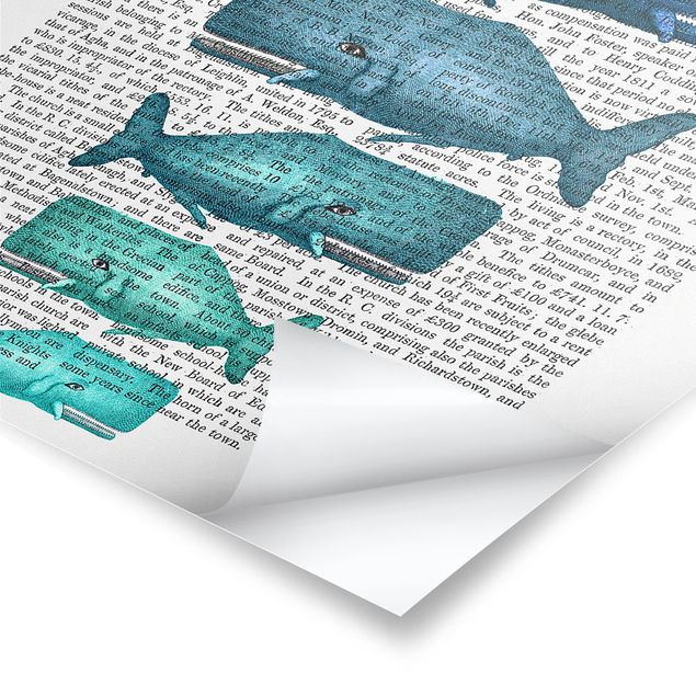Posters muraux Lecture des animaux - Famille de baleines