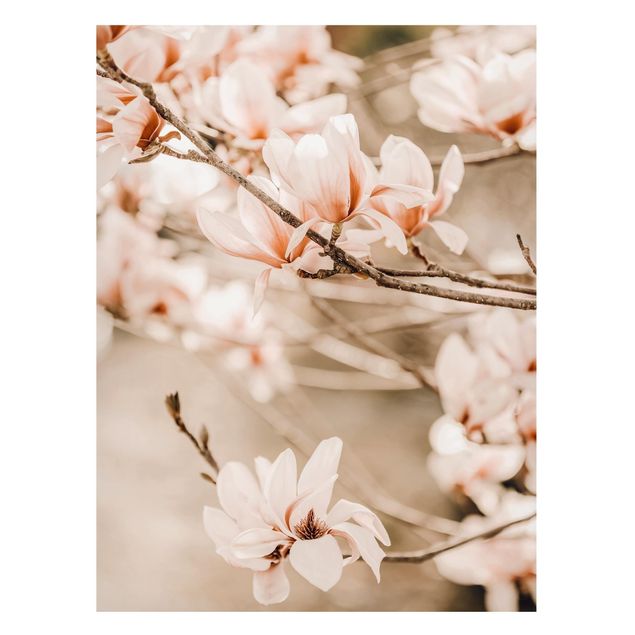 Tableaux paysage Rameau de magnolia style vintage