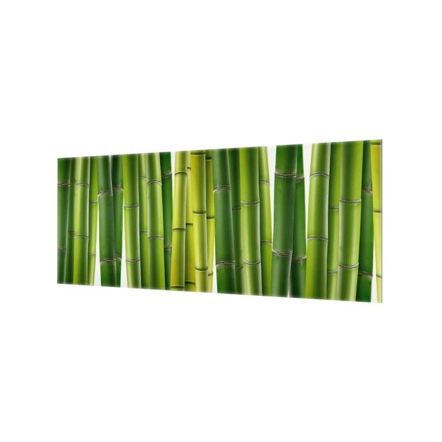 Fond de hotte - Bamboo Plants