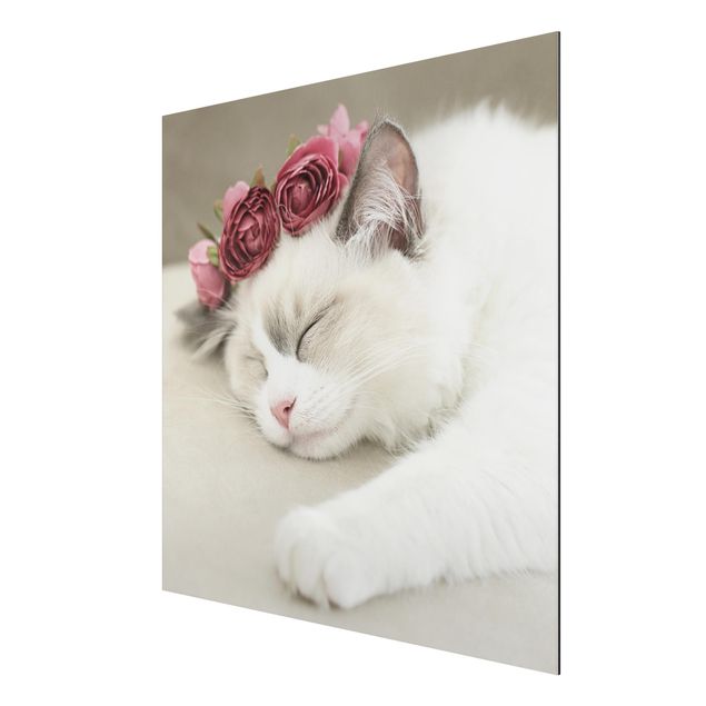 Tableau moderne Chat endormi avec des roses