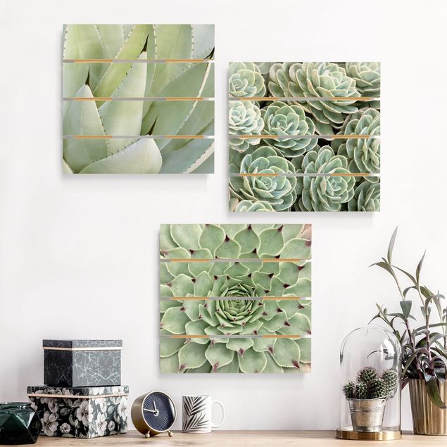 Déco murale cuisine Trio d'agaves et de succulentes