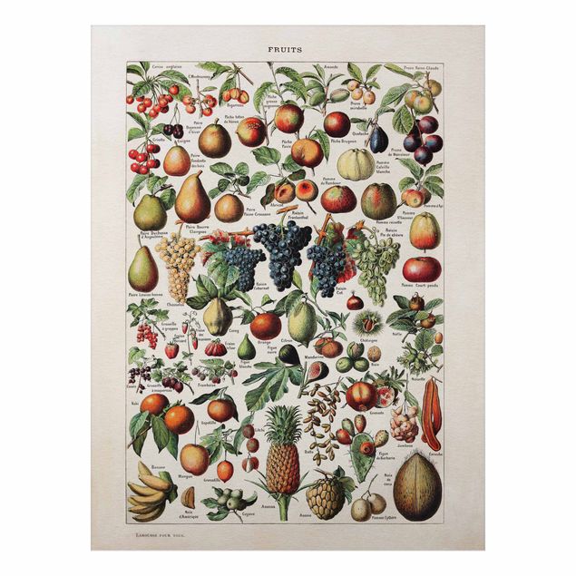 tableaux floraux Tableau Vintage Fruits