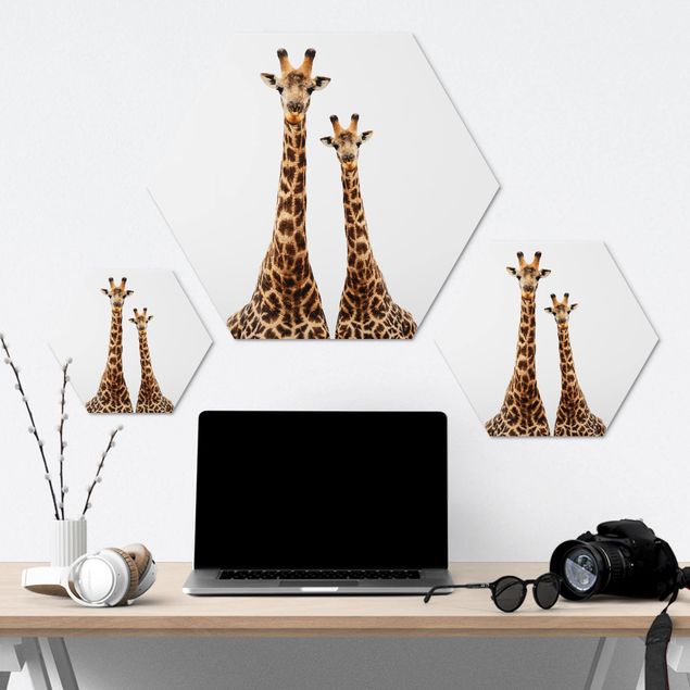 Hexagone en alu Dibond - Portait Of Two Giraffes