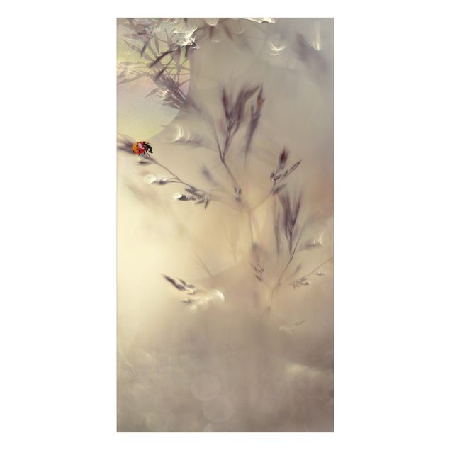 Revêtement mural de douche - Ladybird On Meadow Grass