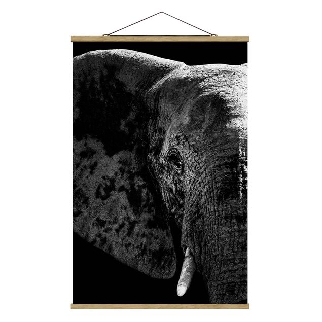 Tableau animaux Éléphant d'Afrique noir et blanc