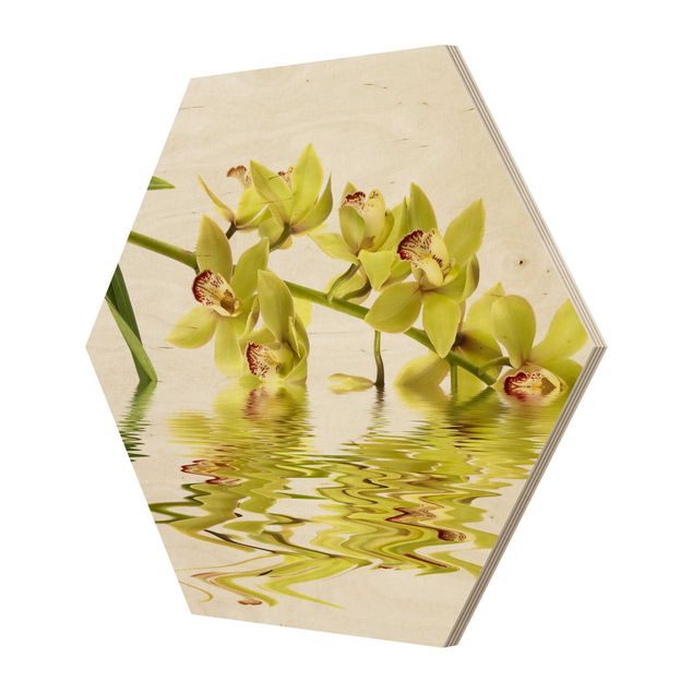 Hexagone en bois - Elegant Orchid Waters