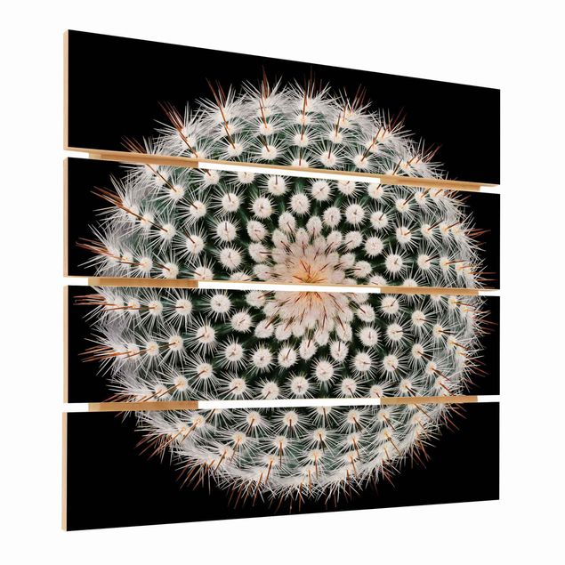 Impression sur bois - Cactus Flower
