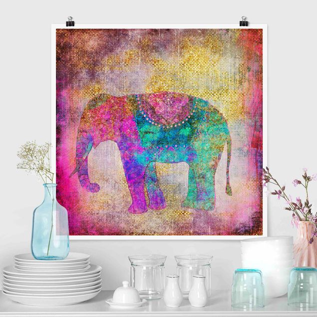 Décorations cuisine Collage coloré - Éléphant indien