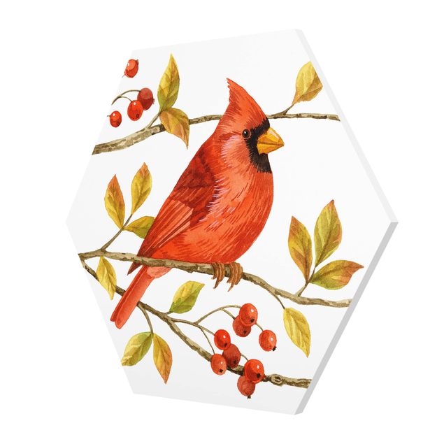 Tableaux muraux Oiseaux et baies - Cardinal du Nord