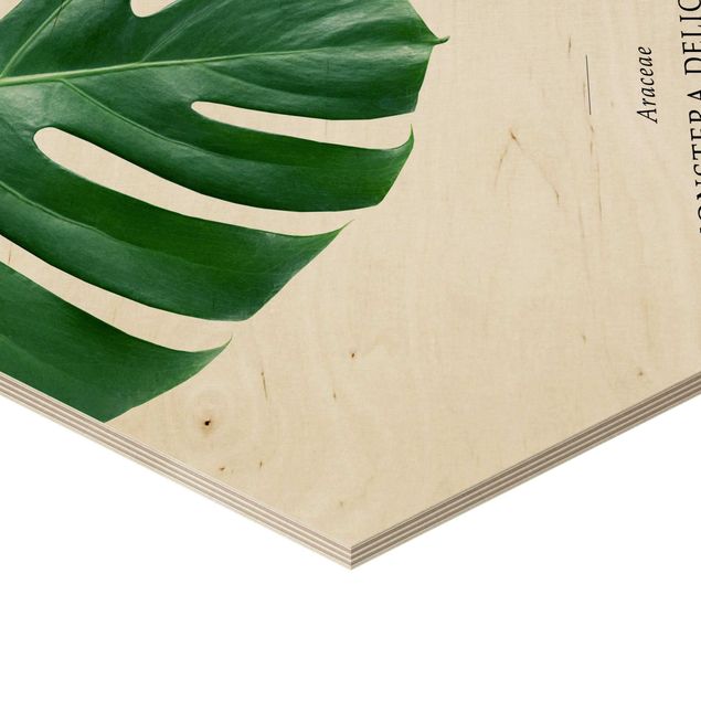 Hexagone en bois - Tropical Leaf Monstera