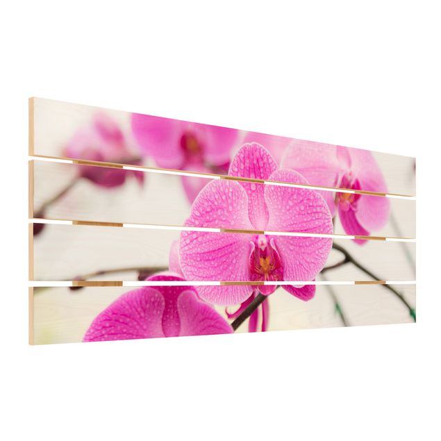 Impression sur bois - Close-Up Orchid