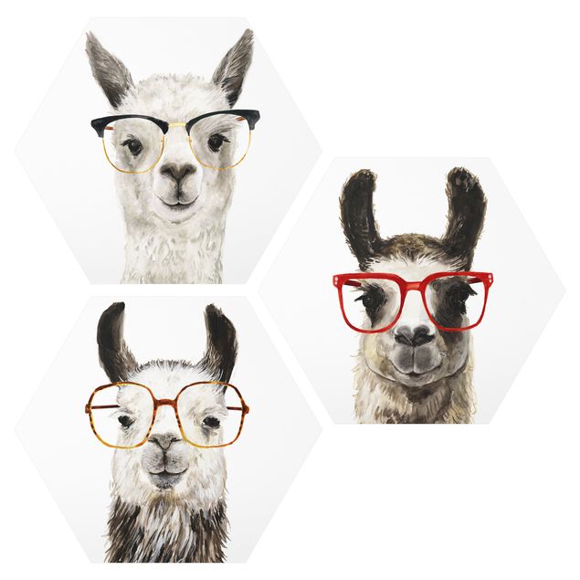 Cadre animaux Lamas cool avec lunettes Lot I
