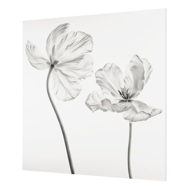 Fonds de hotte - Two Delicate White Tulips - Carré 1:1