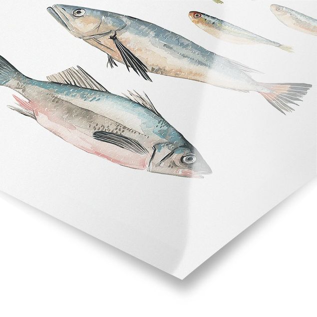 Tableaux Sept poissons à l'aquarelle II