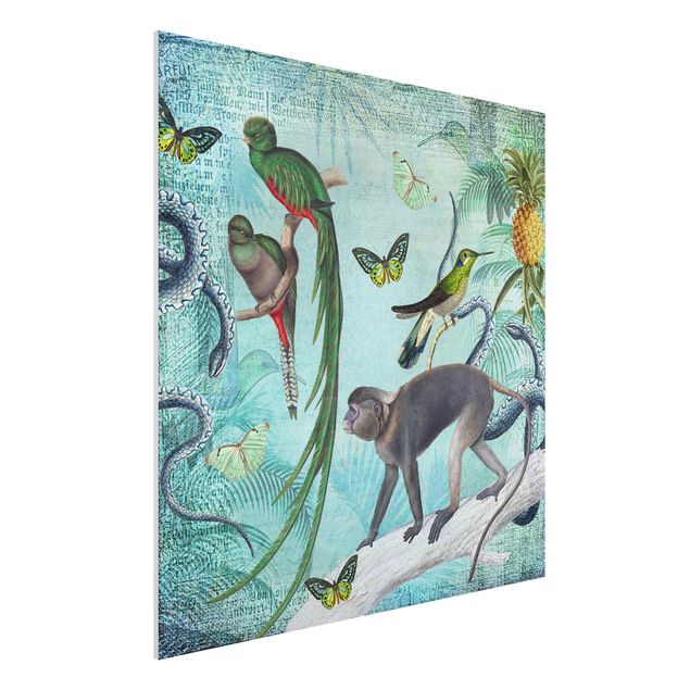 Déco mur cuisine Collage de style colonial - Singes et oiseaux de paradis