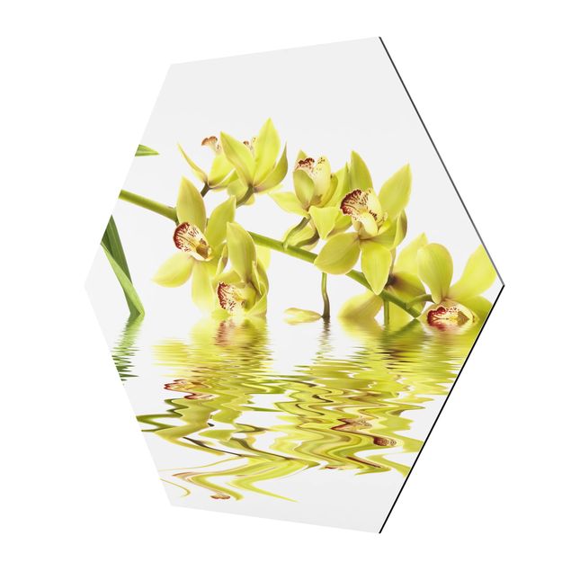 Tableaux Eaux élégantes d'orchidées