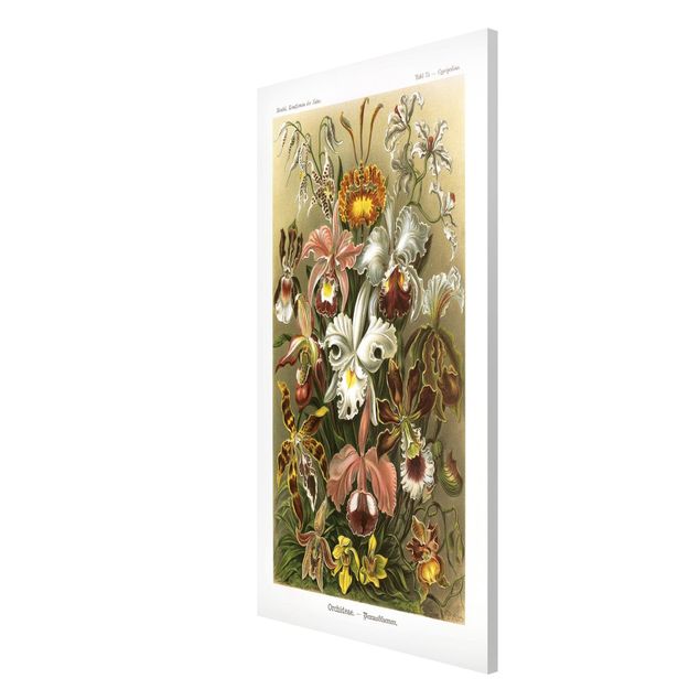 Tableaux magnétiques avec fleurs Tableau Vintage Orchidée