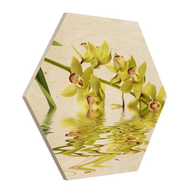 Tableaux en bois Eaux élégantes d'orchidées