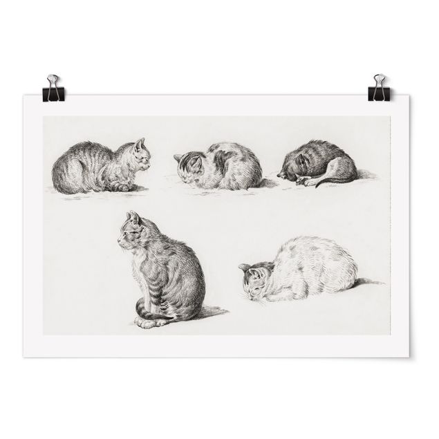 Cadre animaux Vintage Drawing Cat I