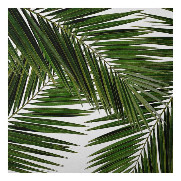 Tableaux paysage Vue à travers des feuilles de palmier vertes