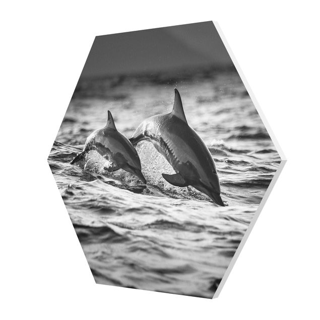 Tableaux noir et blanc Deux dauphins qui sautent
