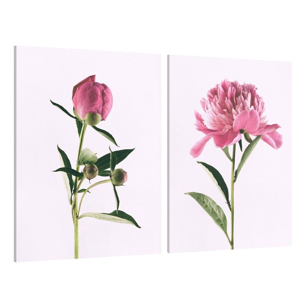 Tableaux fleurs Pivoines en rose