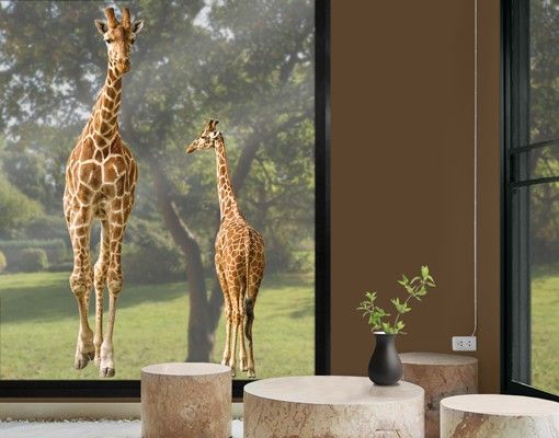 Stickers fenêtre animaux Deux girafes