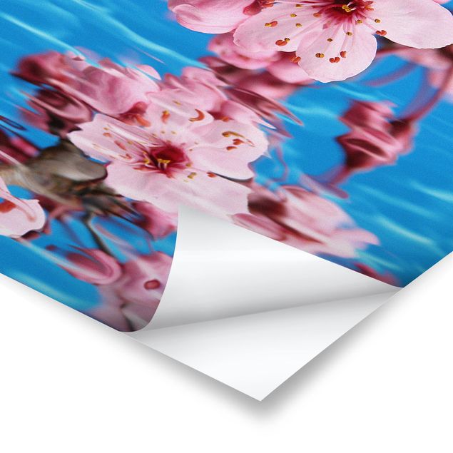 Poster fleurs - Cherry Blossom